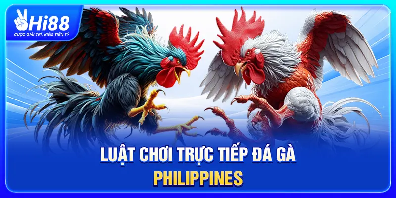 Luật chơi trực tiếp đá gà Philippines